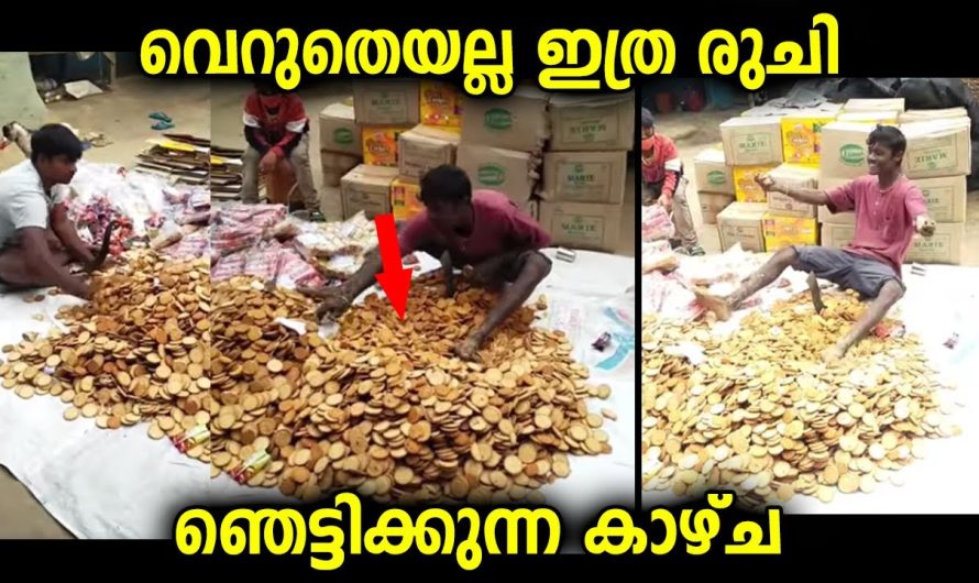 സ്ഥലം എവിടെയാണെന്നറിയില്ല… ഭക്ഷണസാധന നിർമാണശാലയിൽ കാഴ്ച