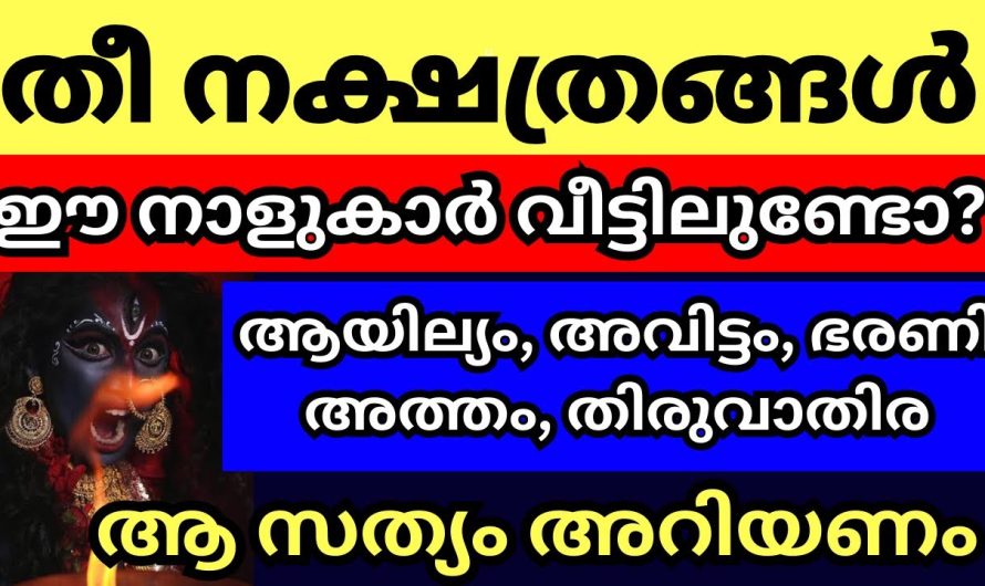 തീ നക്ഷത്രങ്ങൾ ഇവർ കുടുംബത്തിൽ ഉണ്ടോ? ഇവരോട് കളിക്കാൻ നിക്കല്ലേ വിവരമറിയും, അനുഭവം ഗുരു