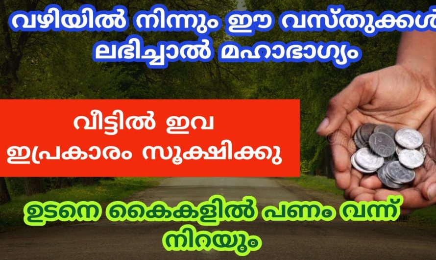 വഴിയിൽ നിന്നും ഈ വസ്തുക്കൾ ലഭിച്ചാൽ മഹാഭാഗ്യം ജീവിതം രക്ഷപ്പെട്ടു