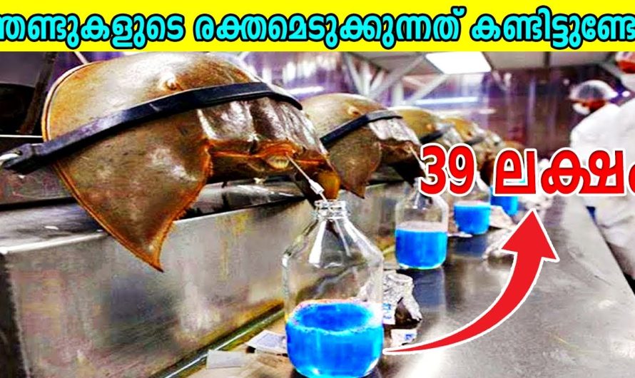 കോടികൾ വിലമതിക്കുന്ന ദ്രാവകങ്ങൾ