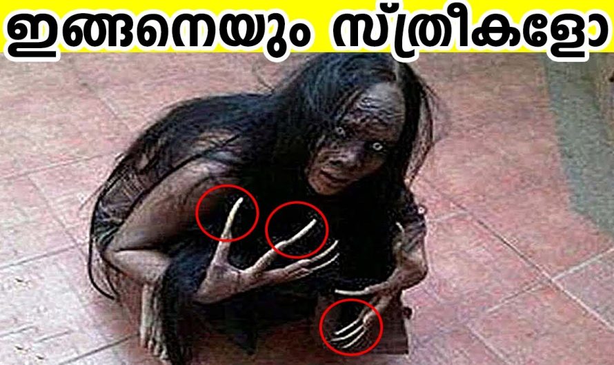 വിചിത്രമായ സ്ത്രീകളെ സമൂഹം തിരിച്ചറിഞ്ഞപ്പോൾ