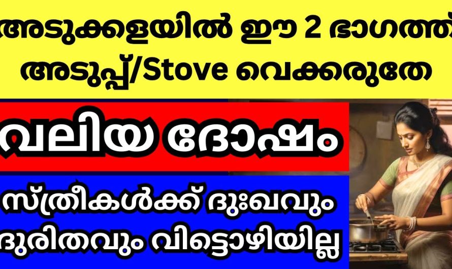 അടുക്കളയുടെ ഈ ഭാഗത്ത് അടുപ്പ്/Stove വെക്കല്ലേ, വാസ്തു ദോഷ സ്ഥാനം ഇത്, ദുരിതം വിട്ടൊഴിയില്ല