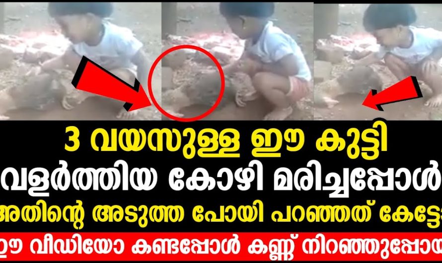 3 വയസുള്ള ഈ കുട്ടി പറഞ്ഞത് കണ്ടപ്പോൾ കണ്ണ് നിറഞ്ഞുപ്പോയി