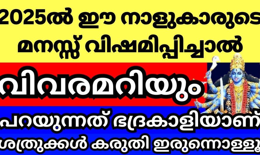 2025 ൽ ഈ നാളുകാരുടെ മനസ്സ് വിഷമിപ്പിക്കാൻ നിക്കല്ലേ, അനുഭവിക്കും, പറയുന്നത് ഭദ്രകാളി അമ്മയാണ്