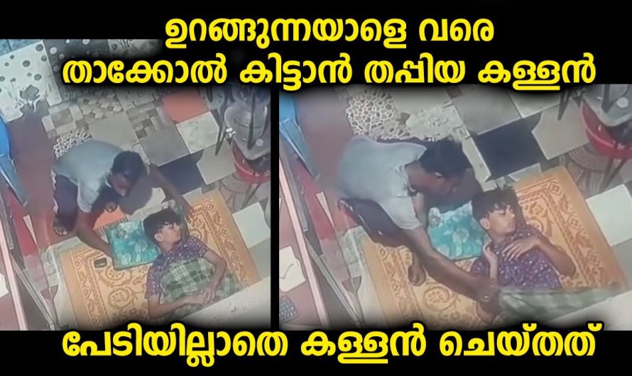 കടയിലെ ജീവനക്കാരൻ ഒന്നും അറിഞ്ഞില്ല, ഇങ്ങനൊരു സീൻ സിനിമയിൽ പോലും കണ്ടിട്ടില്ല…