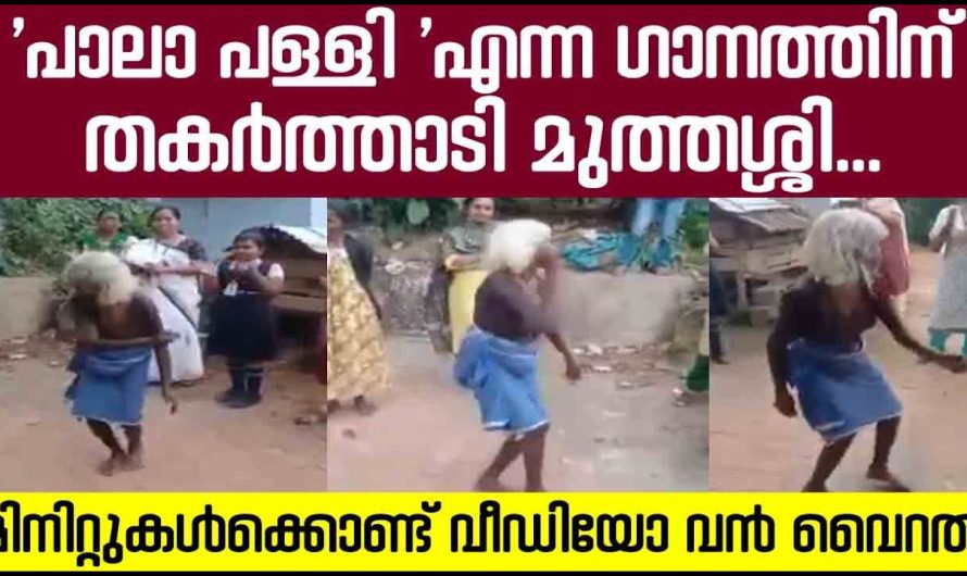 പാലാ പള്ളി എന്ന ഗാനത്തിന് തകർത്താടി മുത്തശ്ശി; മിനിറ്റുകൾക്കൊണ്ട് വീഡിയോ വൻ വൈറൽ.