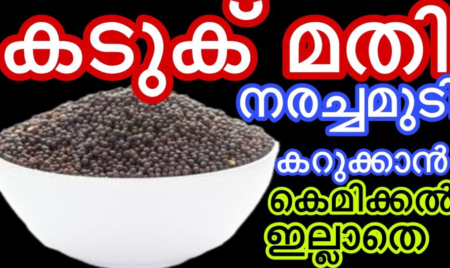 കടുക് മതി നരച്ചമുടി കട്ടകറുപ്പാക്കാൻ കെമിക്കൽ ഇല്ലാതെ