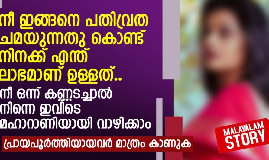 അവളെ കൊണ്ട് ആ വീട്ടിലുള്ള പണികളൊക്കെ ചെയ്യിക്കാൻ അമ്മായിക്ക് ഒരു മടിയും