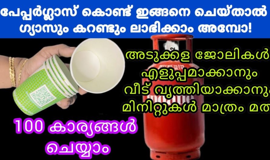 പേപ്പർ ഗ്ലാസ് കൊണ്ട് ഊഹിക്കാൻ പോലും പറ്റാത്ത ഉപയോഗങ്ങൾ |അടുക്കള ജോലി ഇനി എന്തെളുപ്പം