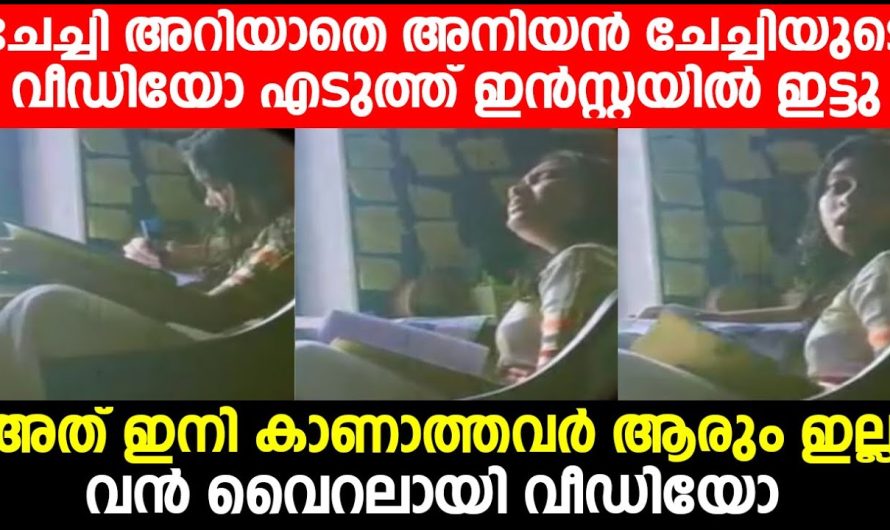 ചേച്ചി അറിയാതെ അനിയൻ ചേച്ചിയുടെ വീഡിയോ എടുത്ത് ഇൻസ്റ്റയിൽ ഇട്ടു; അത് ഇനി കാണാത്തവർ ആരും ഇല്ല