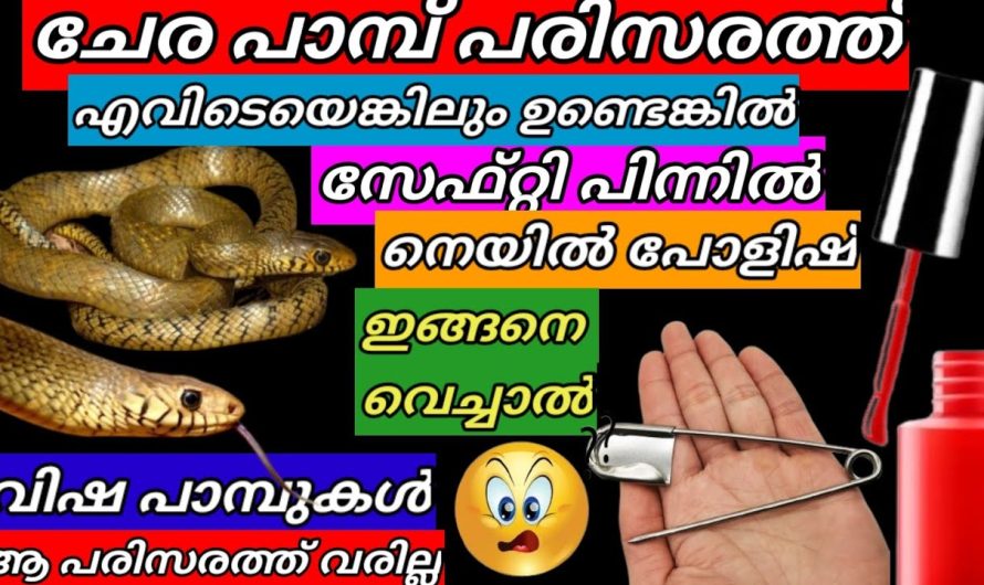 ഊഹിക്കാൻ പോലും പറ്റാത്ത ഇതുകൊണ്ട് ഇത്ര ഉപകാരമോ? /ഒറ്റ വിഷപ്പാമ്പുകൾ ഇനി പരിസരത്ത് അടുക്കില്ല സത്യം