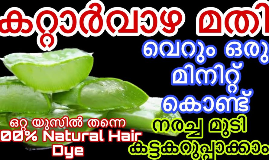 കറ്റാർവാഴ മതി നരച്ച മുടി ഒറ്റ യൂസിൽ തന്നെ കറുപ്പിക്കാം