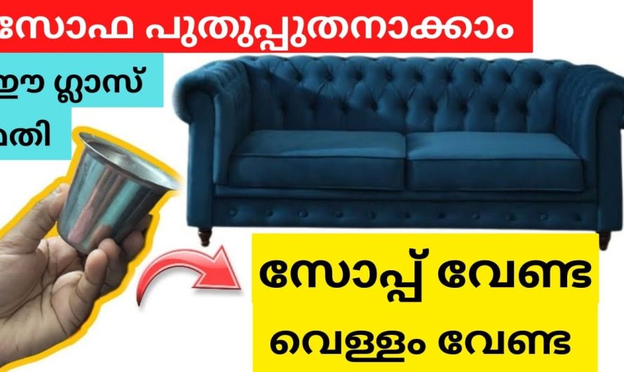 സോഫ പുതുപ്പുതനാക്കാം സോപ്പ് വേണ്ട വെള്ളം വേണ്ട