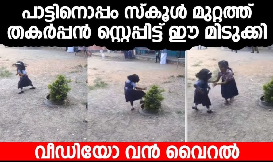 പാട്ടിനൊപ്പം സ്കൂൾ മുറ്റത്ത് തകർപ്പൻ സ്റ്റെപ്പിട്ട് ഈ മിടുക്കി | വീഡിയോ വൻ വൈറൽ