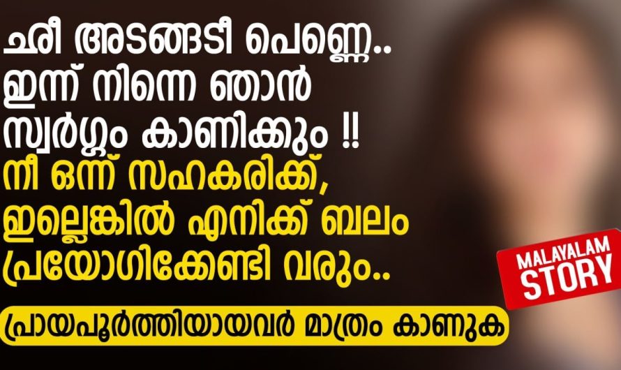 ഛീ അടങ്ങടീ പെണ്ണെ.. ഇന്ന് നിന്നെ ഞാൻ സ്വർഗ്ഗം കാണിക്കും