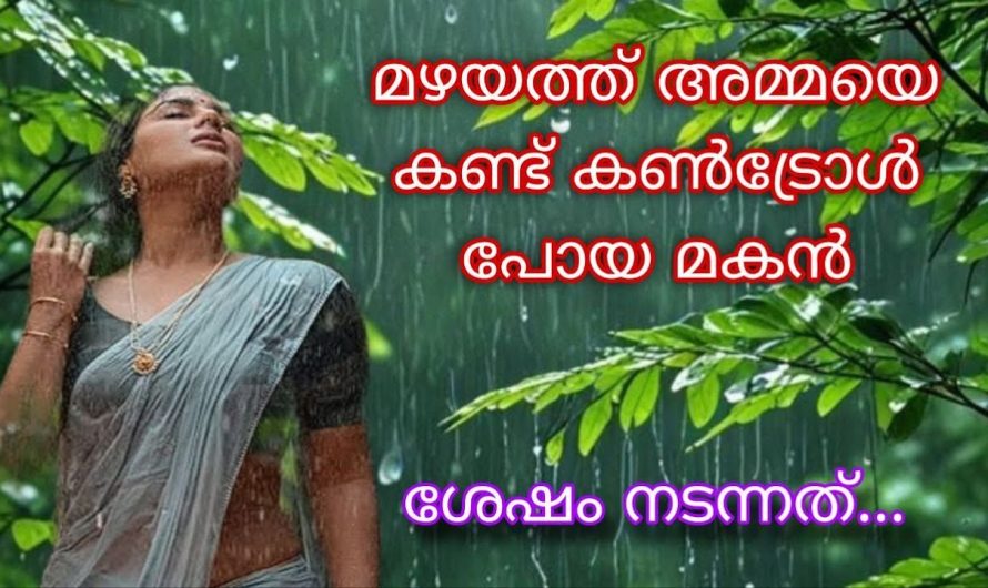 ഞാൻ വേഗം ബെഡിൽ നിന്നും എഴുന്നേറ്റ് ഓടിച്ചെന്ന് മുൻ വാതിൽ തുറന്ന് മുറ്റത്തേക്ക് ചെന്നപ്പോൾ കണ്ട കാഴ്ച