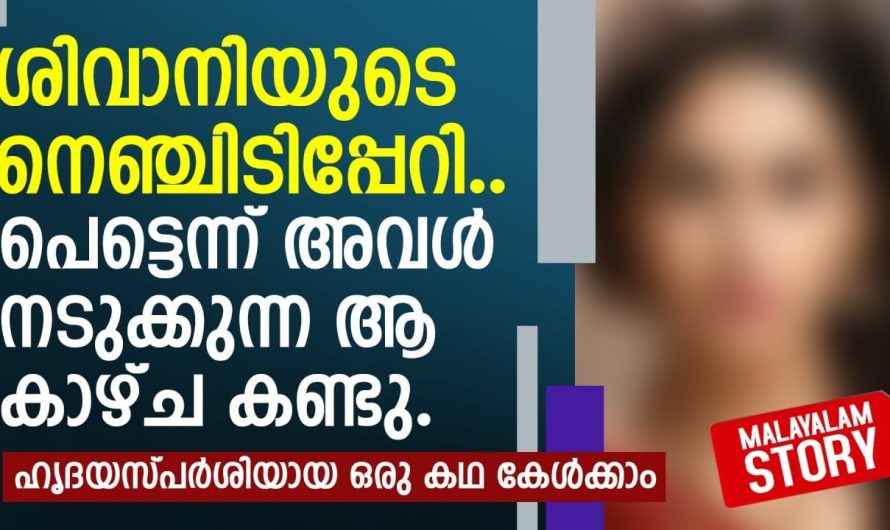 ശിവാനിയുടെ നെഞ്ചിടിപ്പേറി.. പെട്ടെന്ന് അവൾ നടുക്കുന്ന ആ കാഴ്ച കണ്ടു