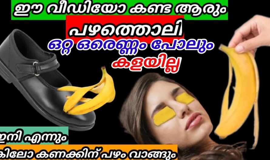 അമ്പമ്പോ!!! ഇതറിയാതെ എത്രയോ പഴത്തൊലി വെറുതെ വലിച്ചെറിഞ്ഞു കളഞ്ഞു ഇനി ആരും കളയില്ല സത്യം