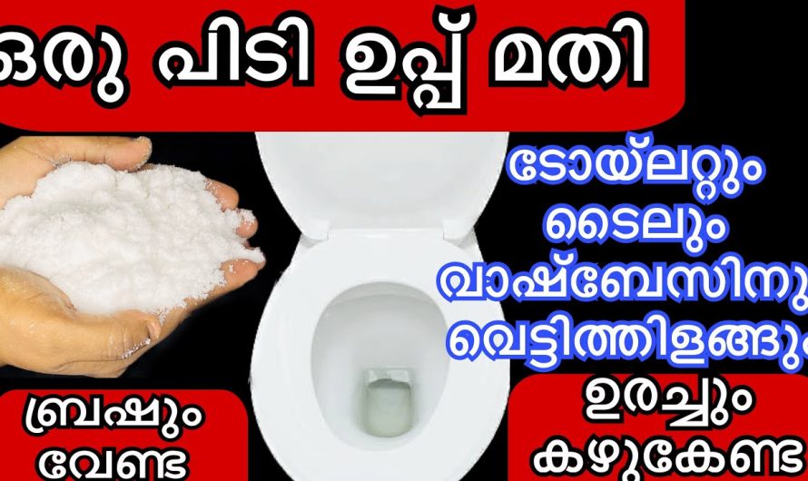 ഒരു പിടി ഉപ്പ് മതി എത്ര അഴുക്കു പിടിച്ച ടൈലും ക്ലോസറ്റും വാഷ്‌ബേസിനും വെട്ടിത്തിളങ്ങാൻ