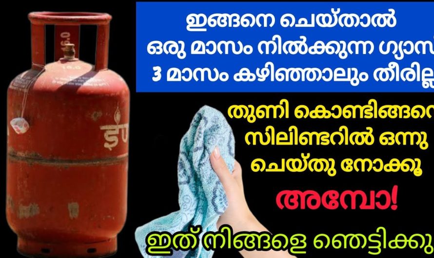 ഇങ്ങനെ ചെയ്താൽ ഒരു മാസം നിൽക്കുന്ന ഗ്യാസ് 3 മാസം വരെ ഉപയോഗിക്കാം