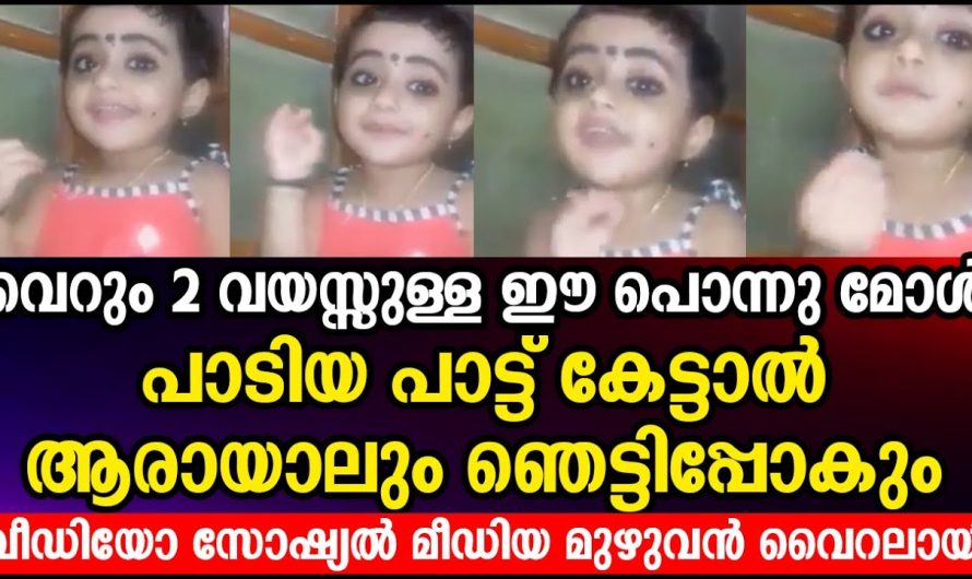 വെറും 2 വയസ്സുള്ള ഈ പൊന്നു മോൾ പാടി പാട്ട് കേട്ടാൽ ആരായാലും ഞെട്ടിപ്പോകും