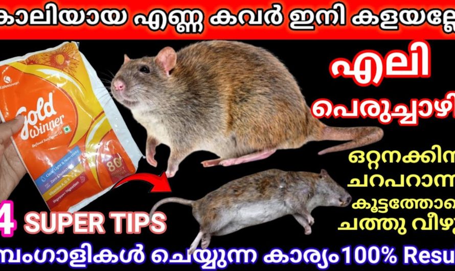 എണ്ണ കവർ കളയല്ലേ എലികളും പേരുച്ചാഴികളും കൂട്ടത്തോടെ ചത്തുവീഴും പൊടിക്കൈ
