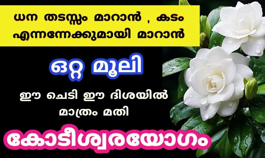 ഈ പുഷ്പം ഈ ദിശയിൽ വയ്ക്കു, പണം വന്ന് കൊണ്ടേ ഇരിക്കും