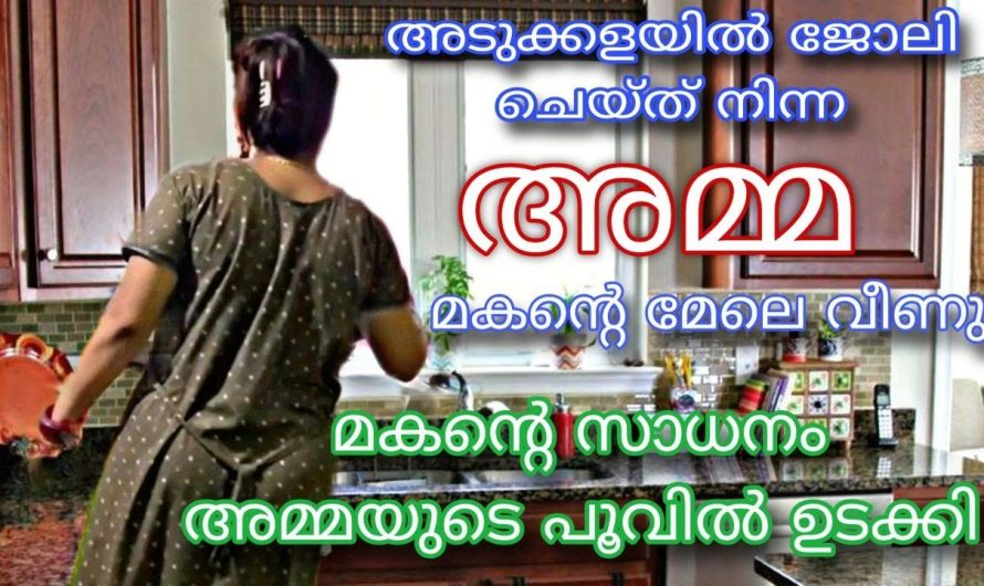 അടുക്കളയിൽ ജോലി ചെയ്ത അമ്മ മകന്റെ മേലെ വീണപ്പോൾ