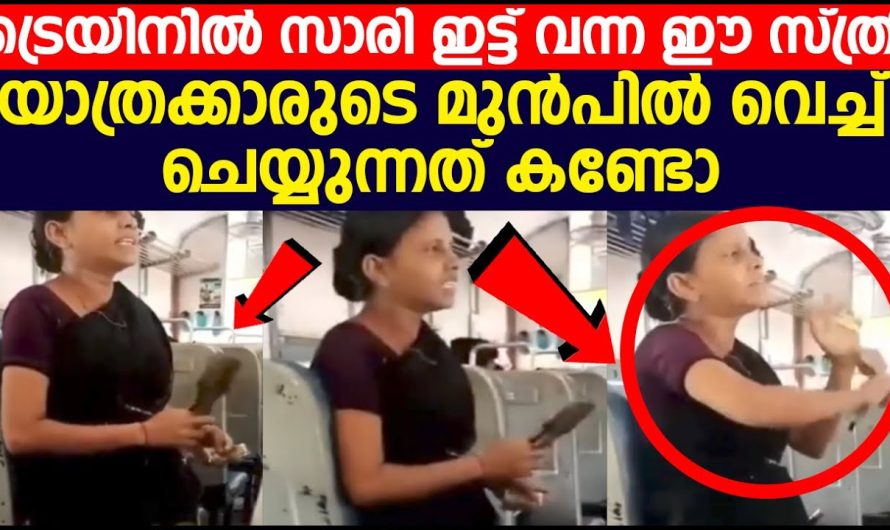 ട്രെയിനിൽ സാരി ഇട്ട് വന്ന ഈ സ്ത്രീ യാത്രക്കാരുടെ മുൻപിൽ വെച്ച് ചെയ്യുന്നത് കണ്ടോ