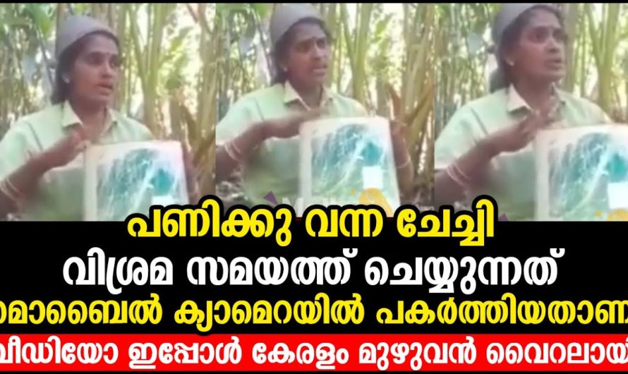 പണിക്കു വന്ന ചേച്ചി വിശ്രമ സമയത്ത് ചെയ്യുന്നത് മൊബൈൽ ക്യാമെറയിൽ പകർത്തിയതാണ്