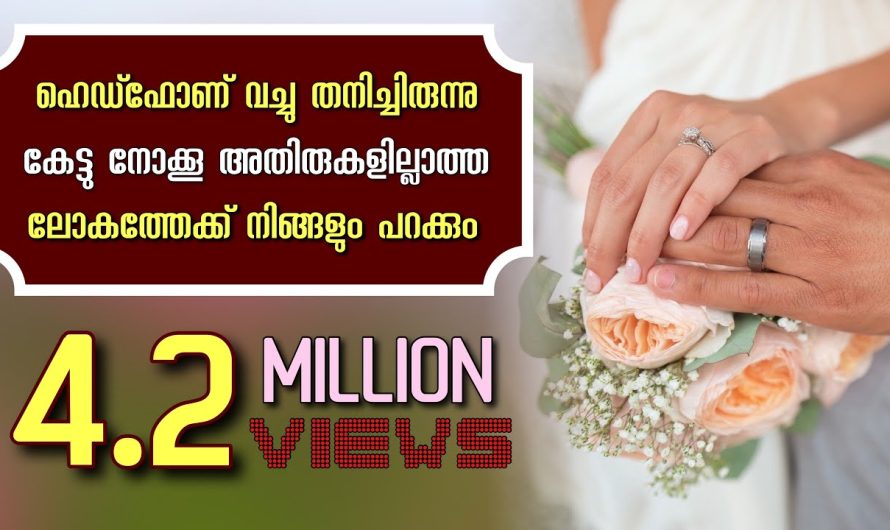 ഹെഡ്‌ഫോണ് വച്ചു തനിച്ചിരുന്നു കേട്ടു നോക്കൂ..അതിരുകളില്ലാത്ത ലോകത്തേക്ക് നിങ്ങളും പറക്കും.