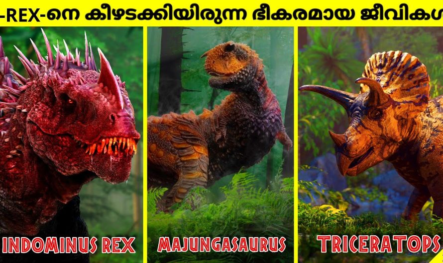 ഒരു ടി-റെക്സിനെ കൊല്ലാൻ കഴിയുന്ന ദിനോസറുകൾ | ഭയപ്പെടുത്തുന്ന ചരിത്രാതീത ജീവികൾ