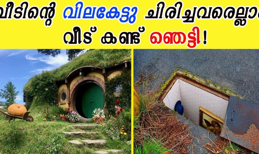 വീടിൻ്റെ വിലകേട്ടു ചിരിച്ചവരെല്ലാം ,വീട് കണ്ട് ഞെട്ടി!3