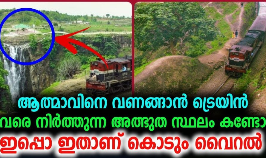 നിങ്ങൾ വിശ്വസിച്ചാലും ഇല്ലങ്കിലും