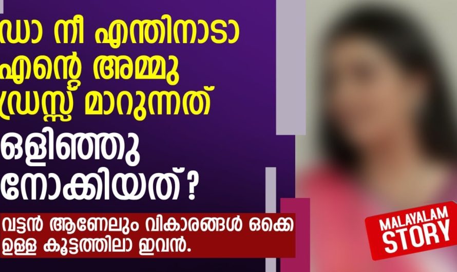 വിവാഹം കഴിഞ്ഞാൽ ഞങളുടെ കിടപറയിൽ ഉളിഞ്ഞു നോക്കില്ലന്ന് ആര് കണ്ടു