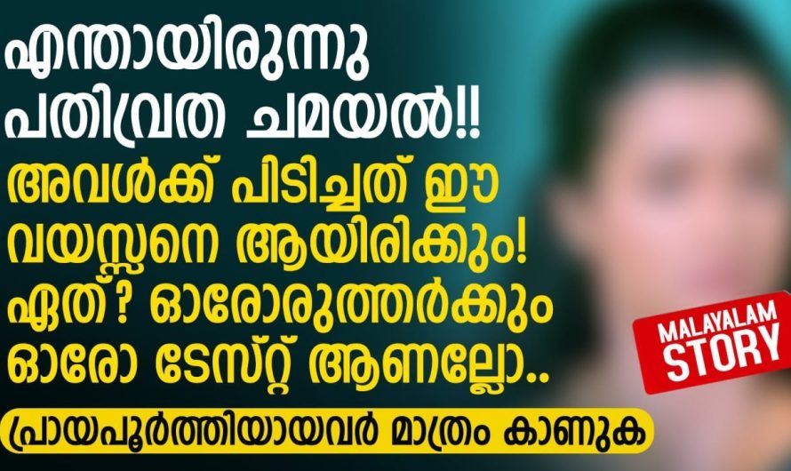 എന്തായിരുന്നു പതിവ്രത ചമയൽ.. അവൾക്ക് ഈ വയസ്സനെ ആയിരിക്കും