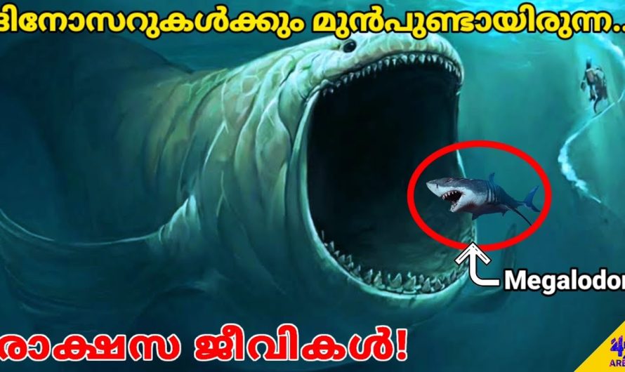ദിനോസറുകൾക്ക് മുമ്പ് ജീവിച്ചിരുന്ന ഭീകരജീവികൾ