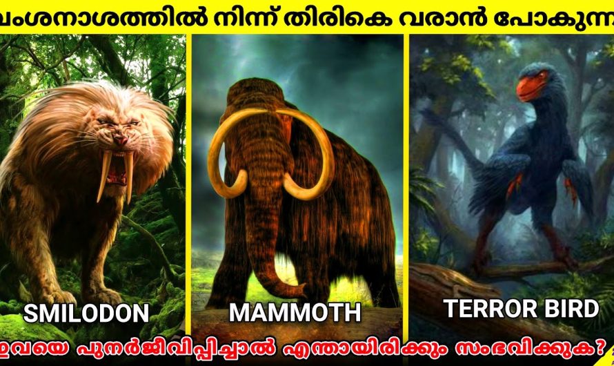 വംശനാശം സംഭവിച്ച ചരിത്രാതീത കാലത്തെ ജീവികൾ തിരിച്ചുവരുന്നു | അതെങ്ങനെ സാധ്യമാകും?