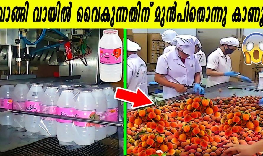 കല്ല് പൊടിച്ചുണ്ടാക്കുന്ന പൗഡറും, പാൽ-പൊടിയാക്കുന്ന വിദ്യയും!!ഫാക്ടറിയിലെ ഈ കാഴ്ചകൾ കാണാതെ പോകല്ലേ?