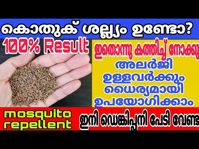 കൊതുക് വീടിൻ്റെ അയലത്ത് പോലും ഇനി വരില്ല ഇങ്ങനെ ചെയ്തു നോക്കു ഷോക്ക് ആവും