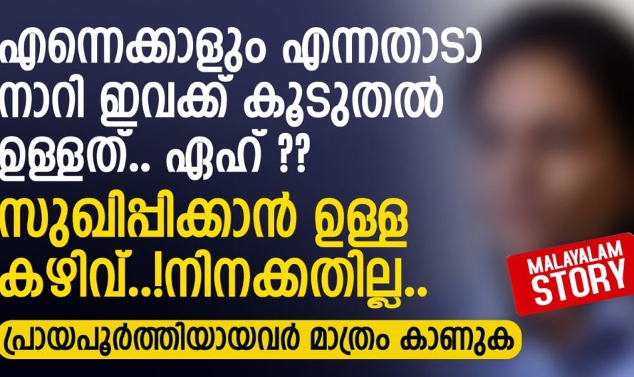 എന്നെക്കാളും എന്നതാടാ നാറി ഇവക്ക് കൂടുതൽ ഉള്ളത്