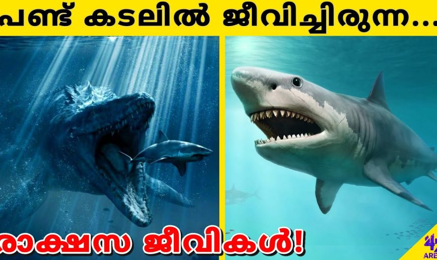 ചരിത്രാതീതകാലത്തെ ഭയാനകമായ സമുദ്രജീവികൾ