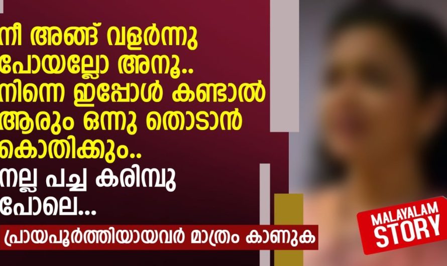 നീ അങ്ങ് വളർന്നു പോയല്ലോ അനൂ.. നല്ല പച്ച കരിമ്പു പോലെ