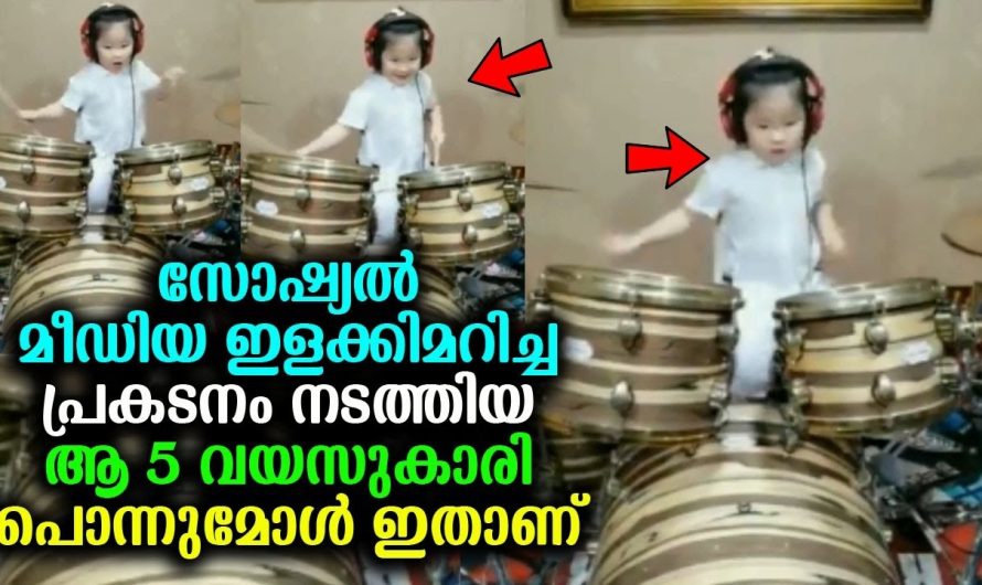 സോഷ്യൽ മീഡിയ ഇളക്കിമറിച്ച ആ 5 വയസുകാരി പൊന്നുമോൾ ഇതാണ് !!!