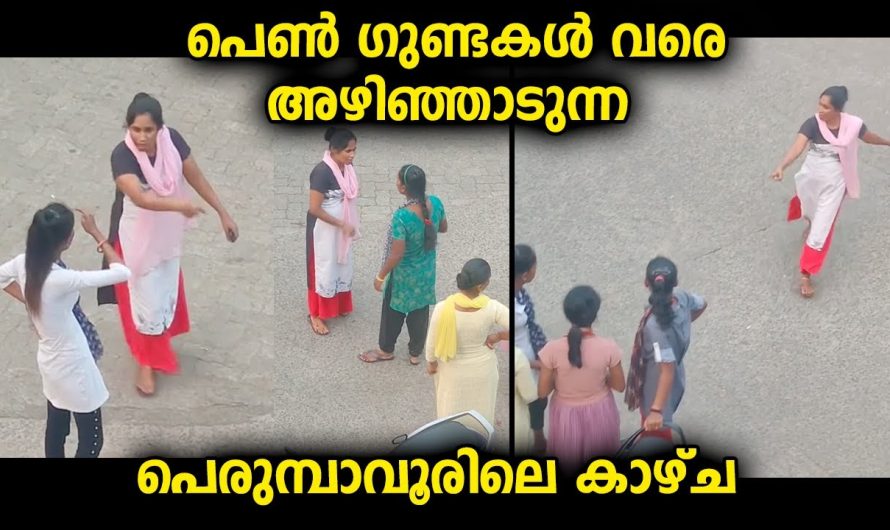 ഇവിടുത്തെ നാട്ടുകാർക്ക് വരെ സ്വസ്ഥമായി ജീവിക്കാൻ പറ്റാത്ത അവസ്ഥയായിക്കൊണ്ടിരിക്കുന്ന സ്ഥലം