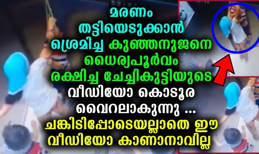 കുഞ്ഞനുജനെ മ..ര..ണ…ത്തിന്റെ പിടിയിൽ നിന്നും രക്ഷപ്പെടുത്തിയ ഈ ചേച്ചിക്കുട്ടിയുടെ വീഡിയോ കൊടൂര വൈറൽ !!!