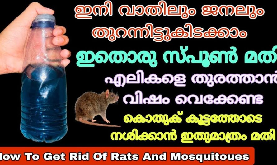 വിഷം വേണ്ട ഇത് ഒരു തുള്ളി മതി 100% കൊതുക് എലി പല്ലി ഇവയെ കൂട്ടത്തോടെ തുരത്താം
