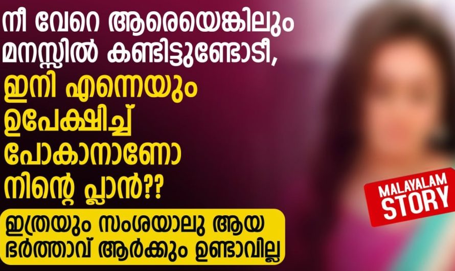 ഇത്രയും സംശയാലു ആയ ഭർത്താവ് ആർക്കും ഉണ്ടാവില്ല