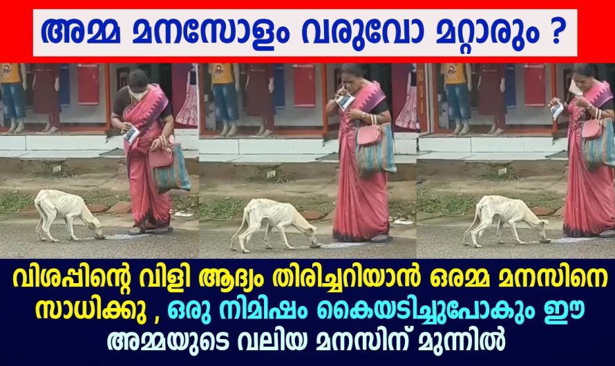 വിശപ്പിന്റെ വിളി ആദ്യം തിരിച്ചറിയാൻ ഒരമ്മ മനസിനെ സാധിക്കു !!