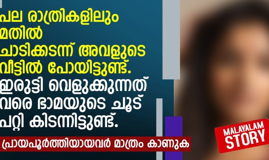ഇപ്പോൾ നീയിങ്ങനെ പറഞ്ഞാൽ എങ്ങനെ ശരിയാവും ഭാമേ